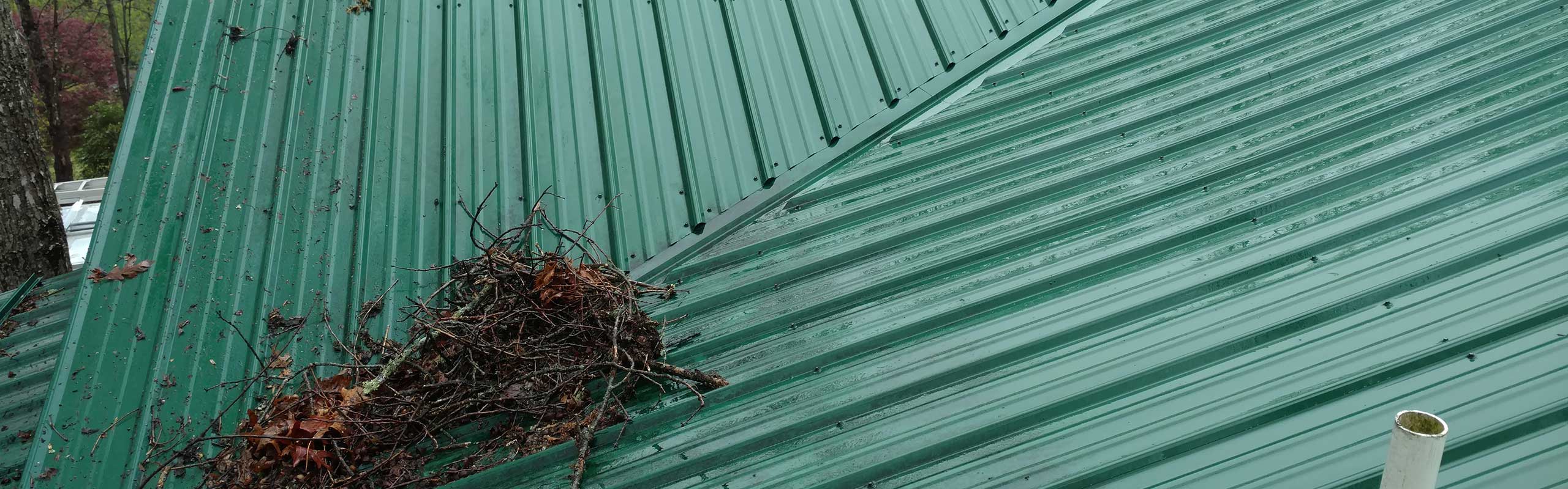 metal-roof image metal-roof Asheville Pressure Washing - Mobile Magic | Asheville NC Pressure Washing